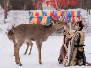 어원크 순록 부족