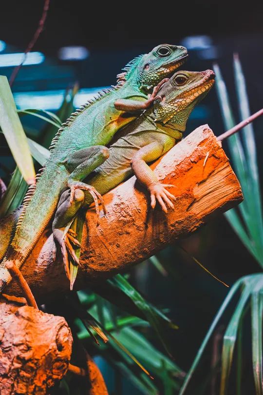 2_上海大自然野生昆蟲館