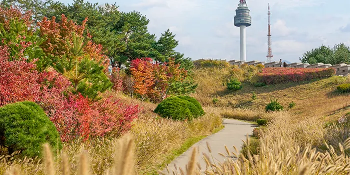 N Seoul Tower image 2