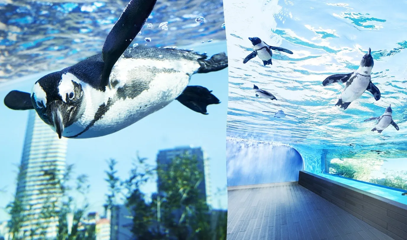4_Sunshine Aquarium