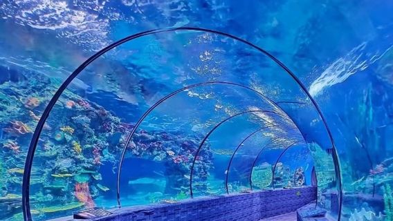 Huaihua Jiufeng Oceanarium