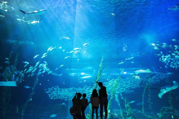 Aqua Planet Jeju