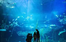 濟州島Aqua Planet水族館