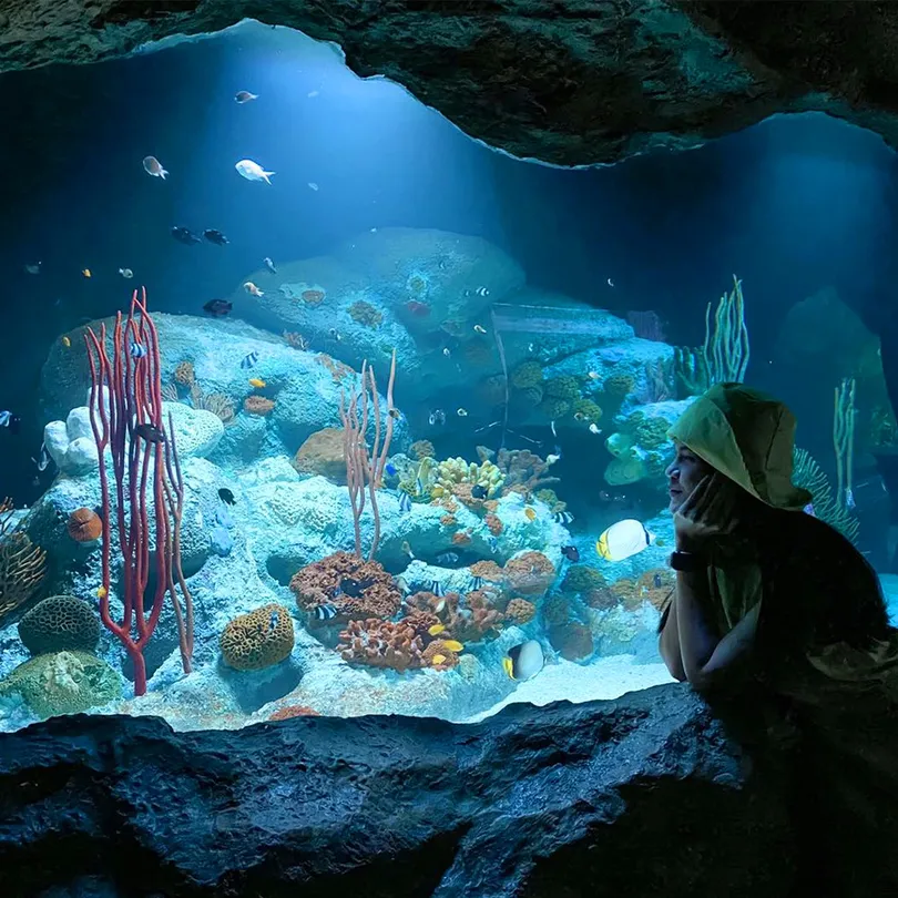 5_อันเดอร์วอเตอร์ เวิลด์ พัทยา