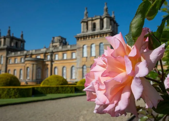 5_Blenheim Palace