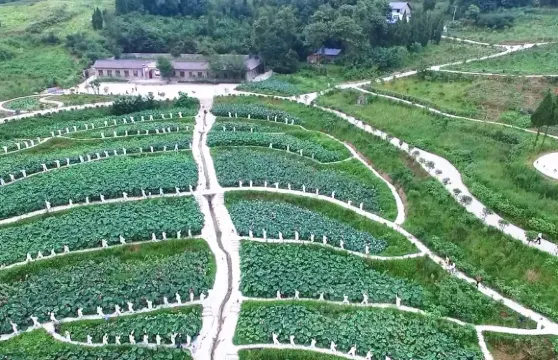 紅盤花鄉門票大小同價