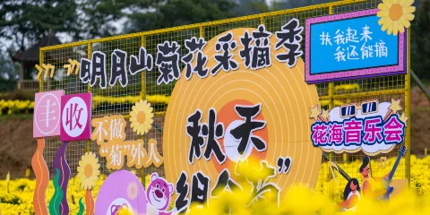 宜春明月山旅遊區門票成人