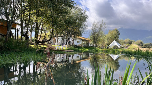 feng di hua ye xiang cao zhuang yuan