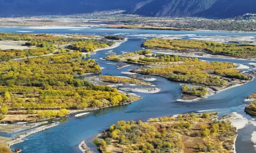 Basomtso