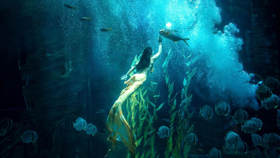 Lotte World Aquarium Hanoi