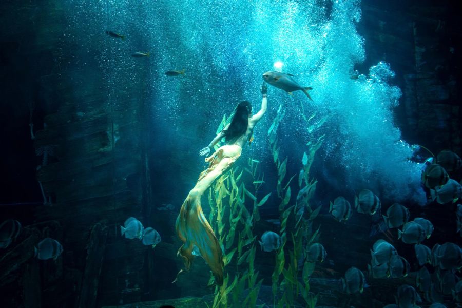 河內樂天世界水族館
