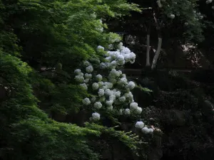 위산 관광지