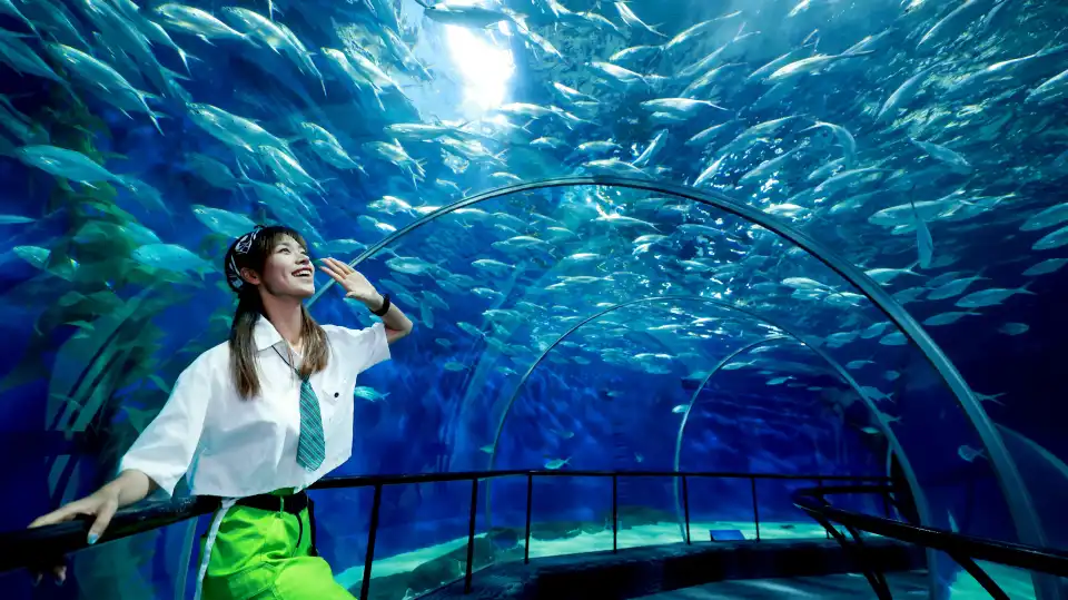 4_Shanghai Ocean Aquarium
