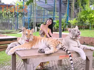 Top 10 Best Things to Do in Mae Rim