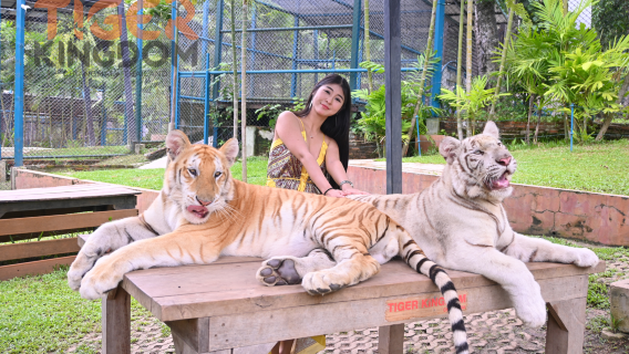 Tiger Kingdom