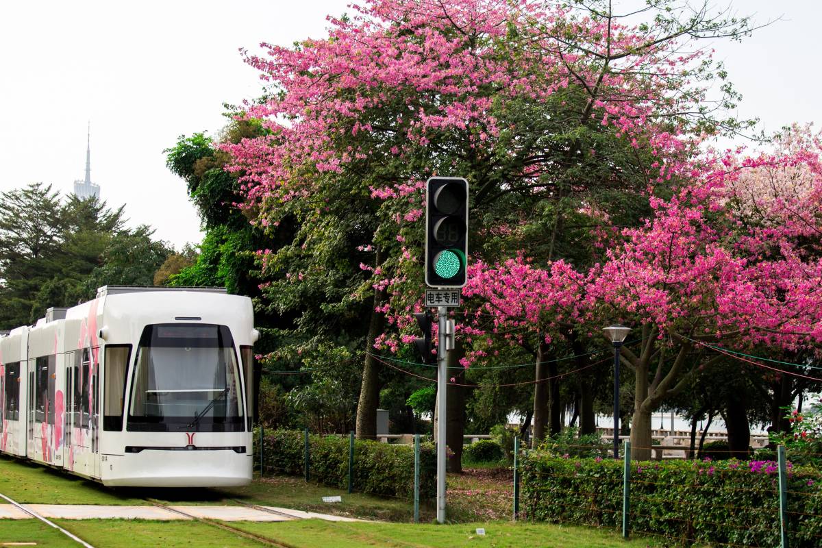 7. Navigating Transportation in China
