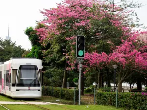 Haizhu Tram Line 1