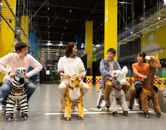 愛知郡 自由行套票