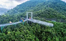 Yanoda Tropical Rainforest