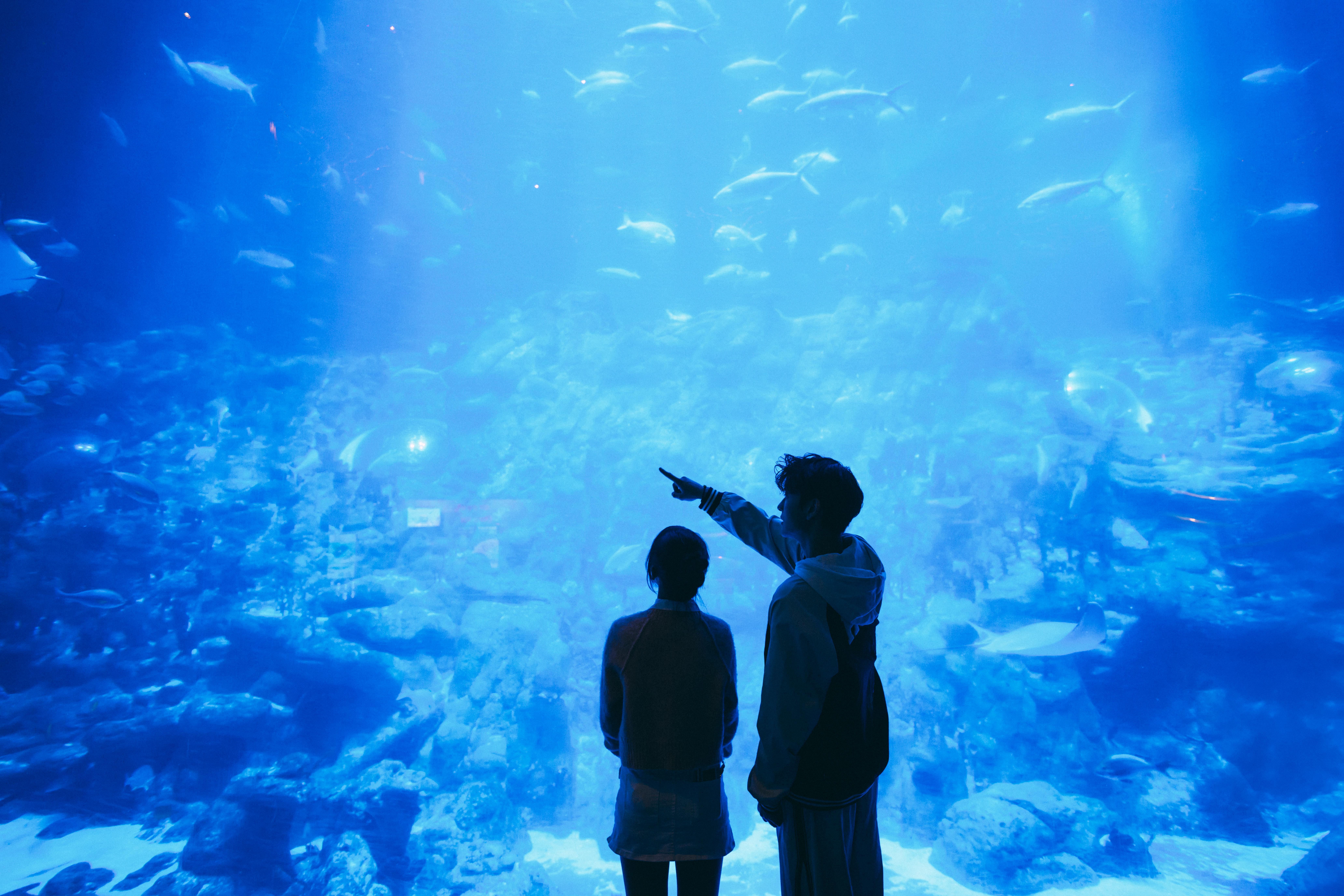 Ocean