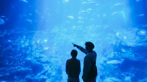 Ocean Park Hong Kong
