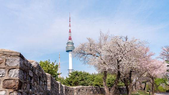 N Seoul Tower