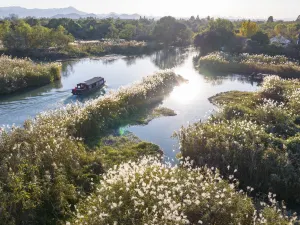 Xixi National Wetland Park