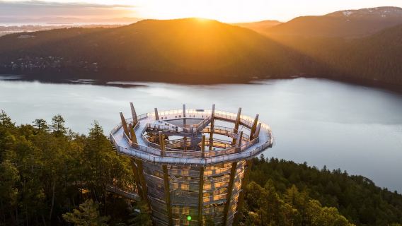 Malahat SkyWalk