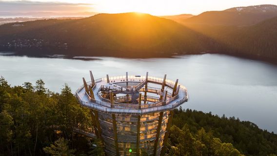 Malahat SkyWalk
