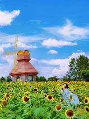 Nautical Flower Fields Of Hangzhou Bay