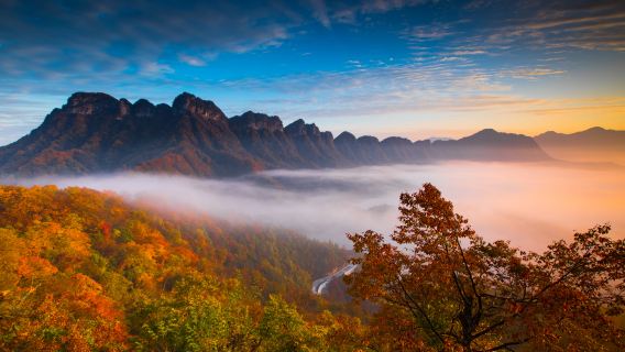 Micang Mountain National Forest Park