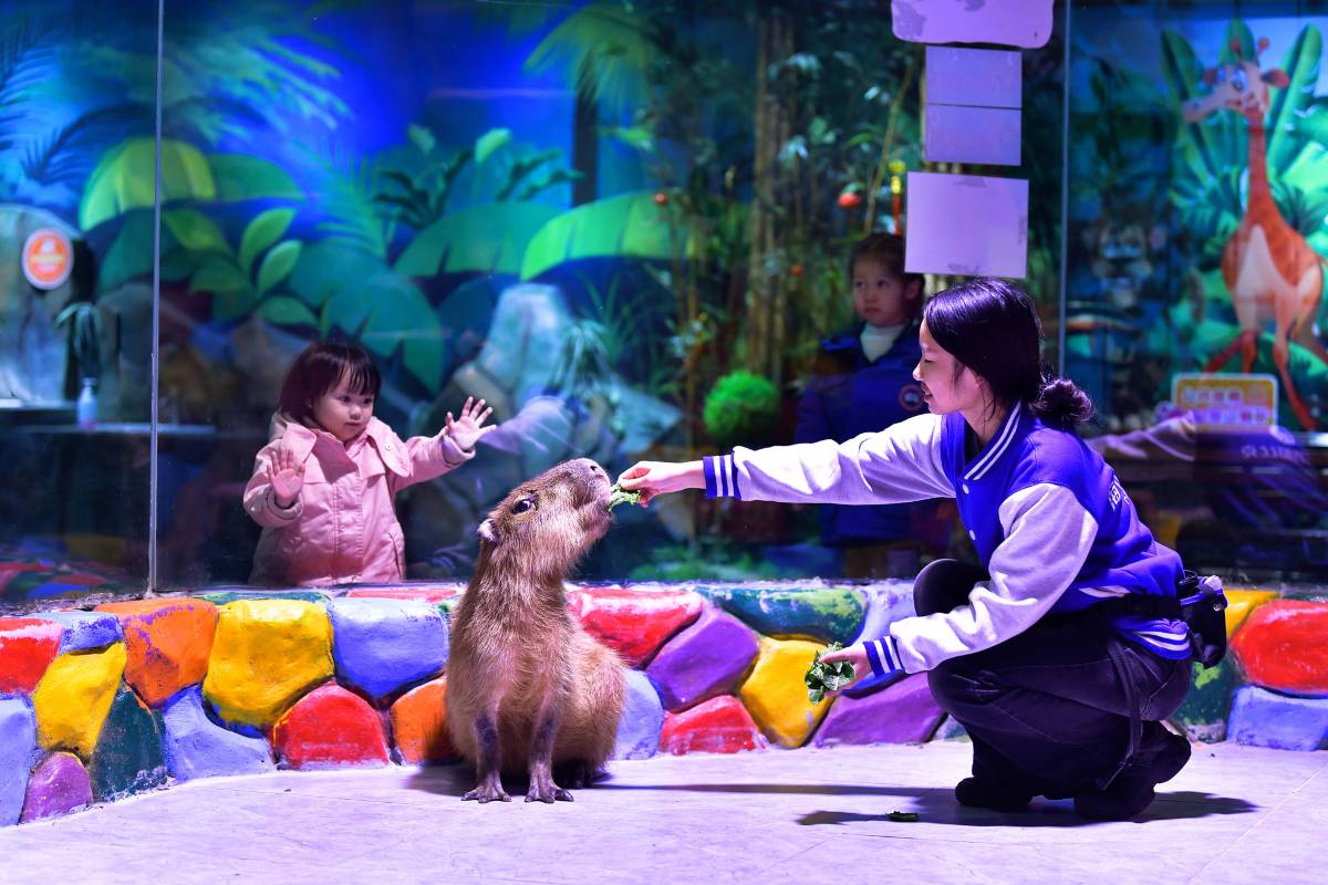 海立方海洋公園