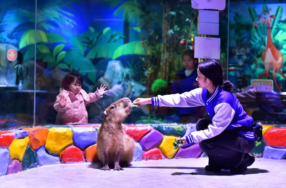 4_Shunde Hailifang Ocean Park