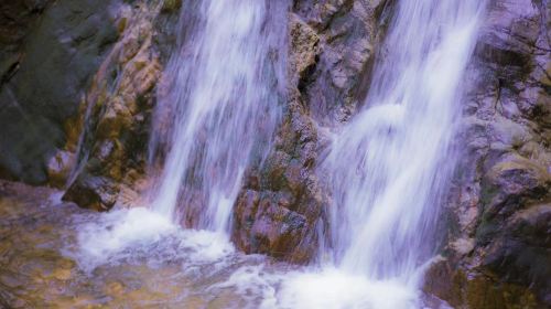 千島湖森林氧吧