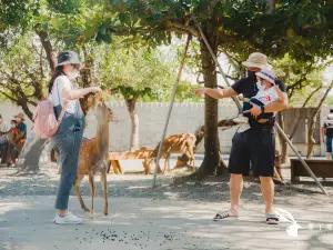 Paradise of deer