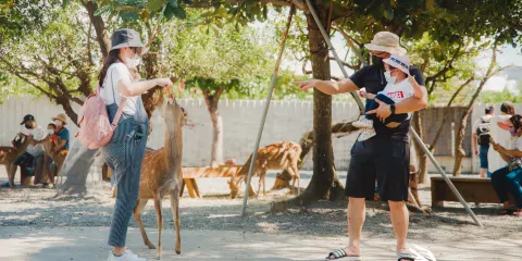 墾丁鹿境梅花鹿園生態園區門票(含新台幣140元折抵券)成人