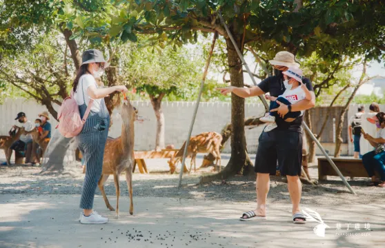 墾丁鹿境梅花鹿園生態園區門票(含新台幣140元折抵券)成人