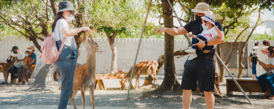 Paradise of deer