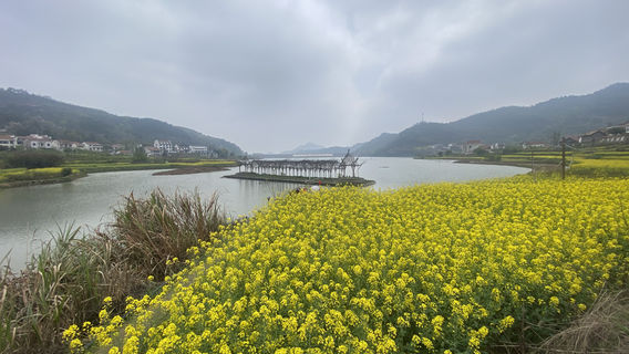 hu bei da ye · tao hua yuan li chen jin shi shui shang man you yan chu