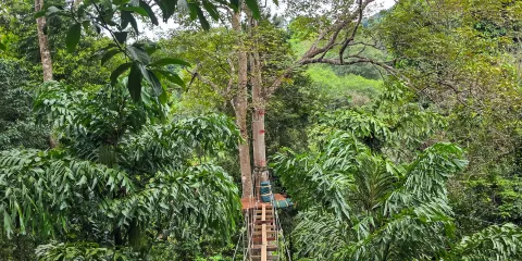 Tree Top Adventure Park門票大小同價