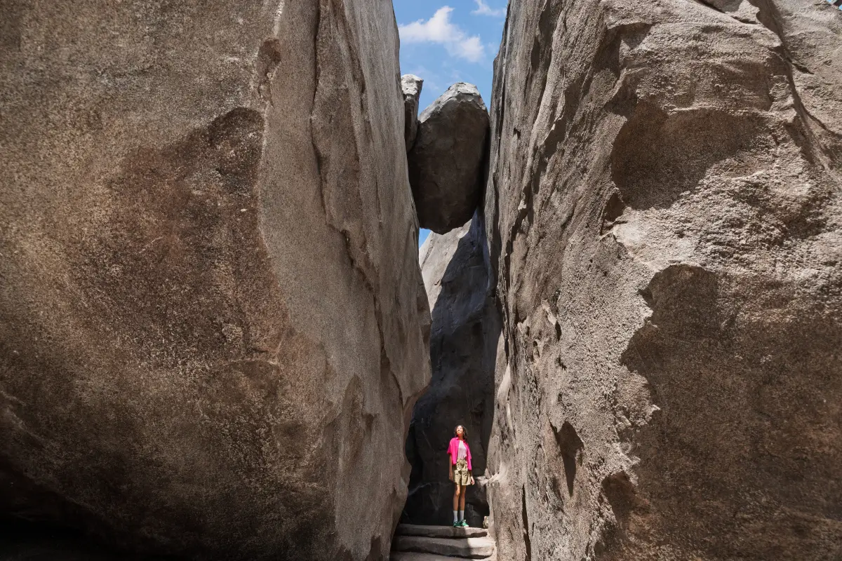 Rainforest Wild Adventure