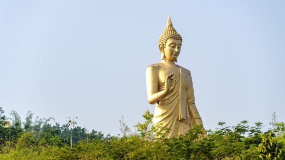 Jinghong Departure: 1-Day Private Tour to Mengle Cultural Tourism Area + Wild Elephant Valley + Tropical Botanical Garden