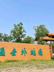 Shiwaitao Ecological Park