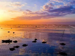 Ailun Bay Marine Pasture