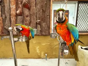 Lanyang Animal and Plant Kingdom