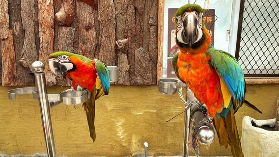 Lanyang Animal and Plant Kingdom