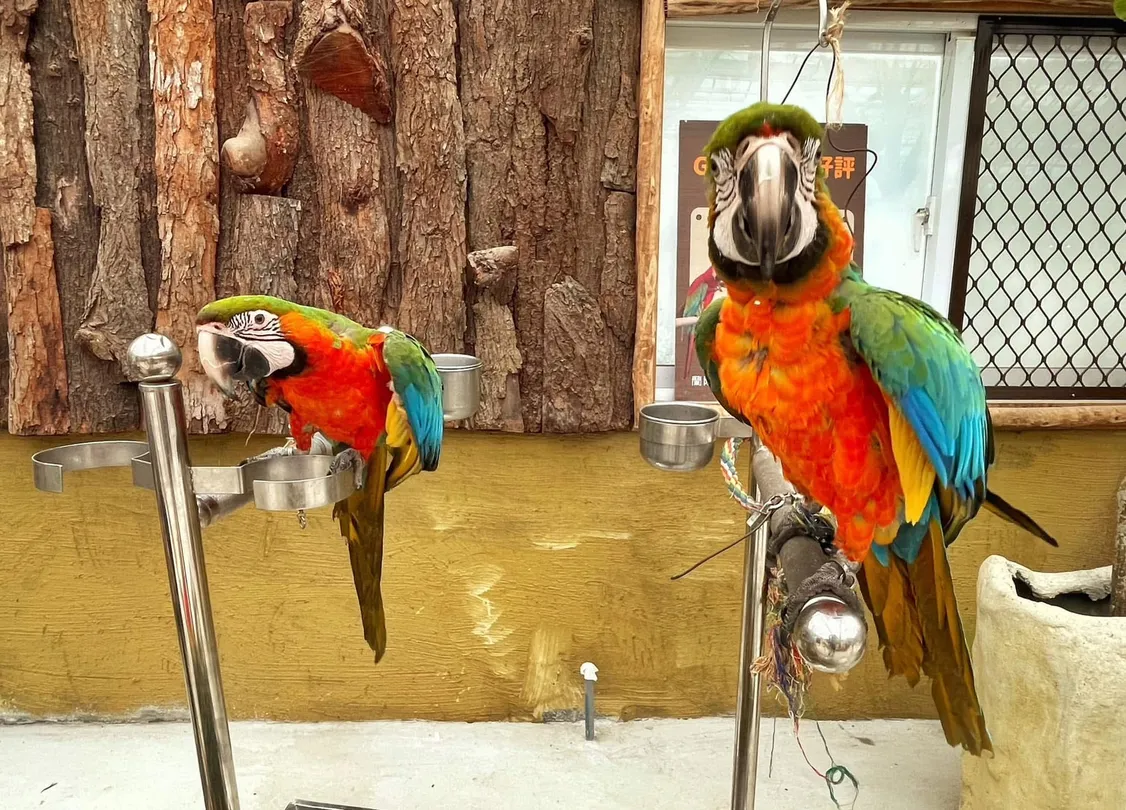 1_蘭陽動植物王國