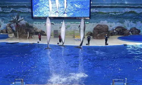 Polar Ocean World