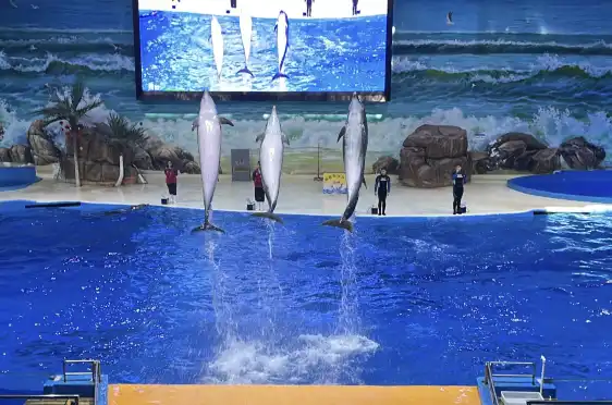 Hotels near Polar Ocean World