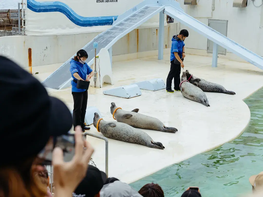 4_오타루 아쿠아리움